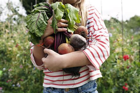 We are your best source for professional / commercial grade pest control supplies, approved for both. How to Start Homesteading Now