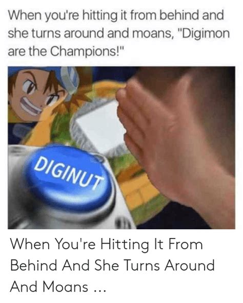 When Youre Hitting It From Behind And She Turns Around And Moans Digimon Are The Champions