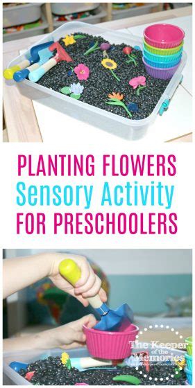 To play the activity, have your child match the numbered bee to its circle by the beehive. Planting Flowers Sensory Bin Gardening Activity for ...