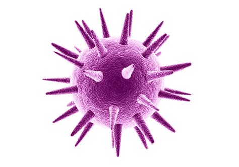 Virusolve Proven To Be Effective Against Swine Influenza Swine Flu
