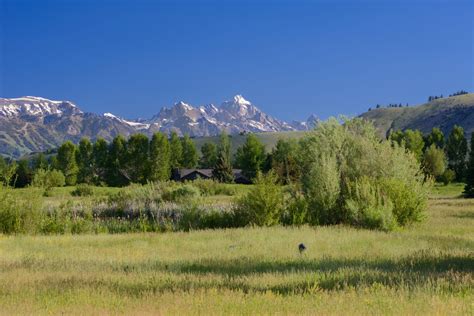 Zwick Jahn Funeral Home Obituaries