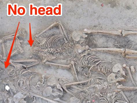 Archaeologists Found 38 Skeletons In A 7000 Year Old Mass Grave All But One Had Been Decapitated