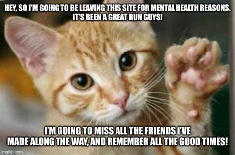 Farewell Cat Meme