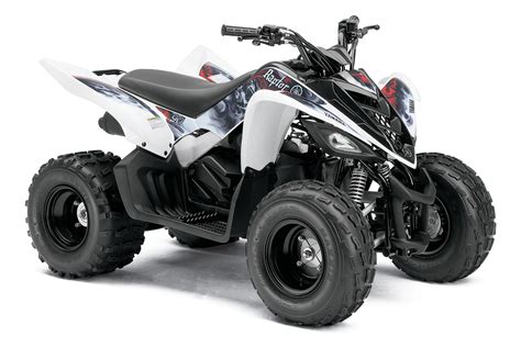 Maybe you would like to learn more about one of these? YAMAHA Raptor 90 specs - 2010, 2011 - autoevolution