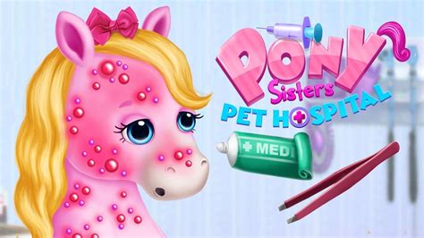 Fun Animal Horse Care Children Learn Pet Care Pony Sisters Pet