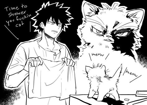 Dabi ambushes hawks out of nowhere, saving twice from death. Dabi versus Hawks, the cat. This means war... in the bath ...