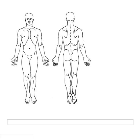 Pain Body Chart Diagram Sketch Coloring Page