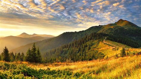 Wallpaper Landscape Sunset Hill Nature Sunrise Morning Valley Pine Trees Wilderness