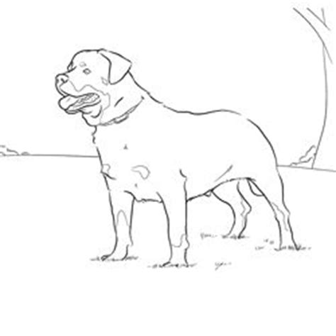 This next animal resembles the rottweiler and even has a miniature version Rottweiler Coloring Page | dog patterns | Pinterest ...