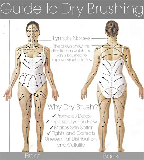 body chart for dry skin brushing dry brushing dry brushing skin lymphatic drainage massage