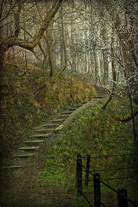 The Winding Steps Photograph By Paul Redmond