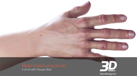 Zbrush Tutorial Sculpt A Hand Part 4 Youtube
