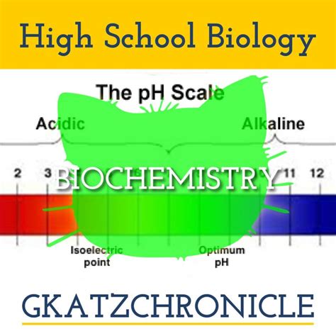 Investigating The Ph Of Common Substances Biochemistry Lab