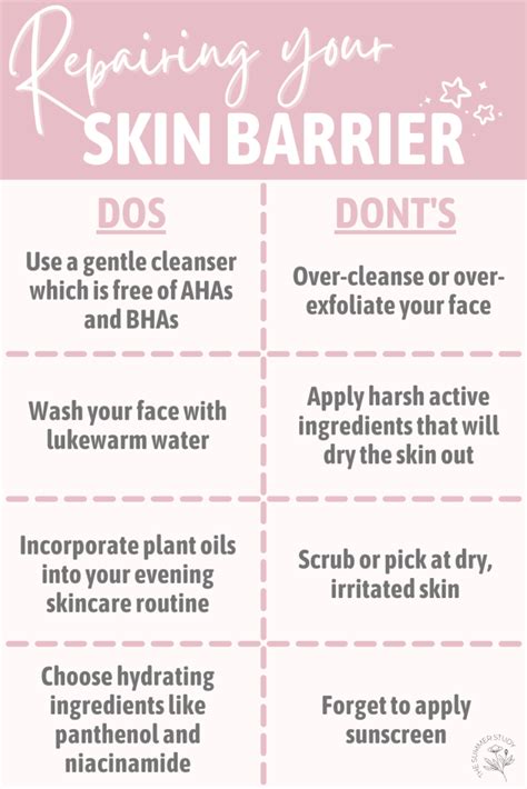 How To Repair A Damaged Skin Barrier The Summer Study