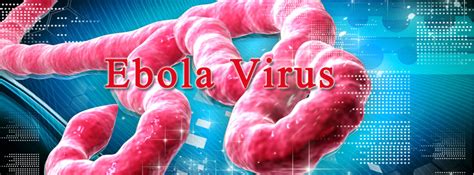 Ebola, also known as ebola virus disease (evd) and ebola hemorrhagic fever (ehf), is a viral hemorrhagic fever in humans and other primates, caused by ebolaviruses. Ebola Virus Symptoms And Transmission - BLOG2SHINER