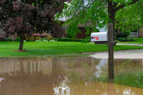 Understanding Flood Insurance Why Every Homeowner Needs It Swyfft Blog