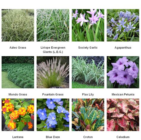 However, you can easily compost yard waste in your own backyard. Scott Lawn and Landscape News and Information