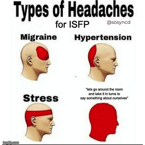 28 Funny Memes Any Isfp Will Relate To So Syncd