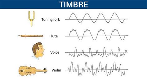 Timbre is also defined as auditory senses produced by a sound wave. Timbre - Five Guys Facts - Medium