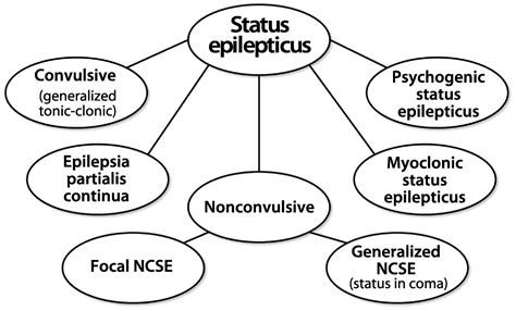 Status Epilepticus Continuum Lifelong Learning In Neurology