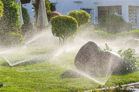 Garden Sprinkler Irrigation System At Curtis Frank Blog