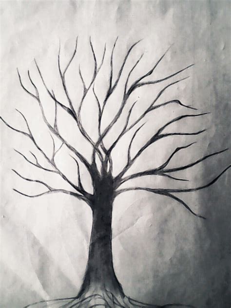Tree Of Life Pencil Drawing At Explore Collection