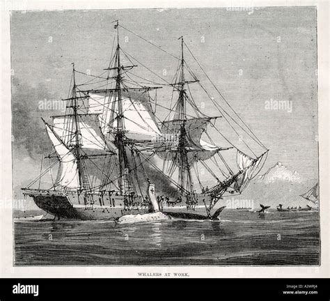 Whaling Ship 19th Century High Resolution Stock Photography And Images