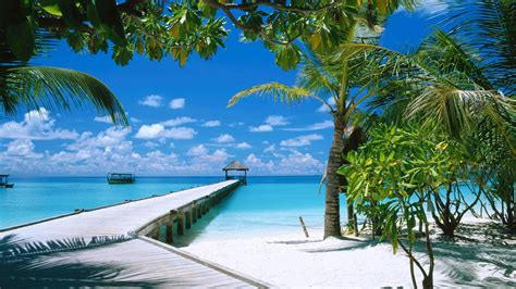Winter Maldives 3 Star Holiday Travel And Tour Package