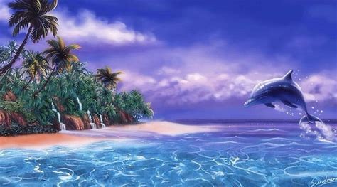 1920x1080px 1080p Free Download Tropical Dolphin Oceans Islands