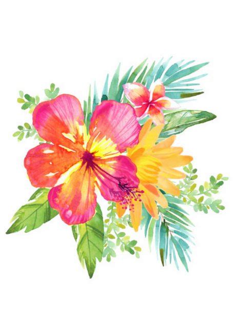 Exotic Flowers Summer Vibe Poster Hibiscus Tropical Leaves Print Wall