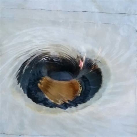 This reverse fountain is called charybdis, as in to be caught between scylla and. Fountain Whirlpool | Fountain, Fun, Travel