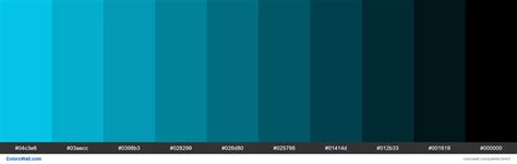 Shades Xkcd Color Neon Blue 04d9ff Hex Palette De Couleurs Colorswall