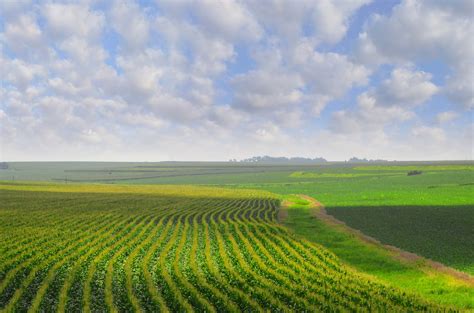 The great plains of the united states of america consist primarily of wide open grasslands between the rocky mountains and the forests of the midwest. 11 Stunning Photos Of America's Great Plains Region