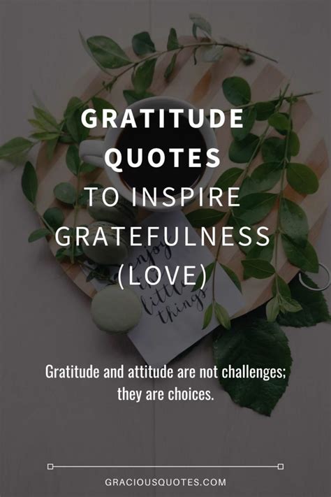 54 Gratitude Quotes To Inspire Gratefulness Love