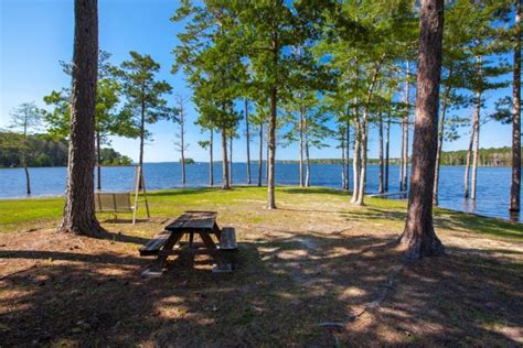 We have a pavillion for your barbeques! Lake Sam Rayburn Retreat - VRBO