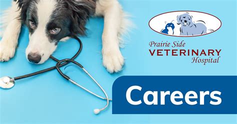 Careers Prairie Side Veterinary Hospital Kenosha Wi