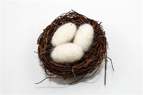 Needle Felted Eggs In Nest Choose Your Color Robins Egg Etsy