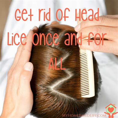 How To Get Rid Of Hair Lice At Home Home