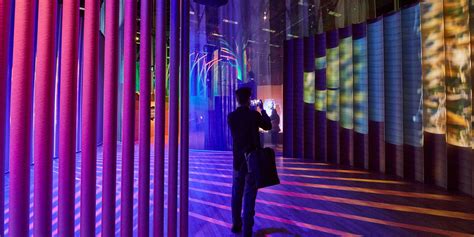 Treasures of the Natural World - VPDA