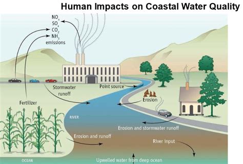 Image human impact on water quality - UVA Alumni, Parents ...