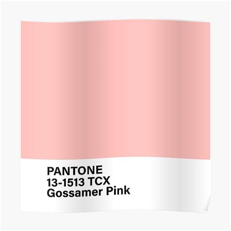 Pantone 13 1513 Tcx Gossamer Pink Poster For Sale By Princessmi Com