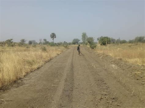 Boko Haram: Nigerian Army construct roads in Sambisa forest [PHOTOS ...