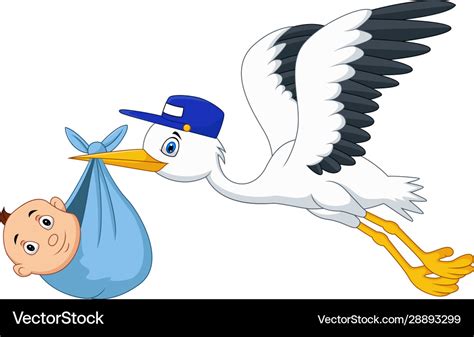 Cartoon Stork Flying Bird Carrying A Newborn Vector Image