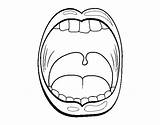 Coloring Throat Gallbladder Human Body Coloringcrew Template Tongue Garganta Liver Dibujos Intestine Pancreas sketch template