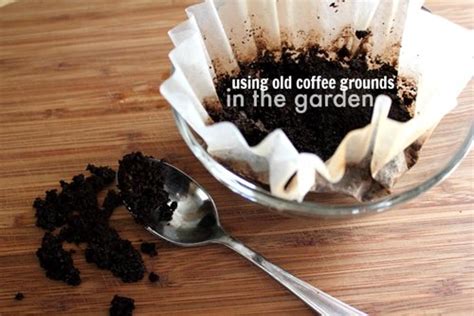 You may have heard that coffee grounds will alter the ph level of your garden. 15 Awesome Gardening Tips For The Budding Horticulturist