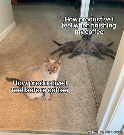 55 Funny Coffee Memes To Keep You Lmao In 2023