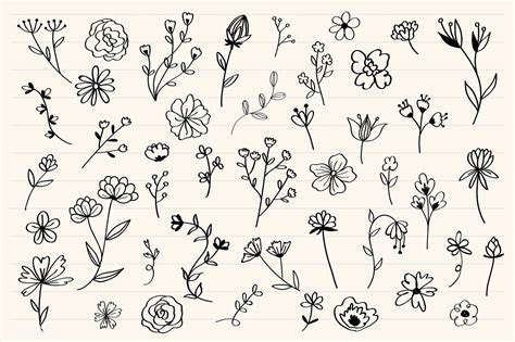 Various Flowers Doodle Collection Vector Free Image By