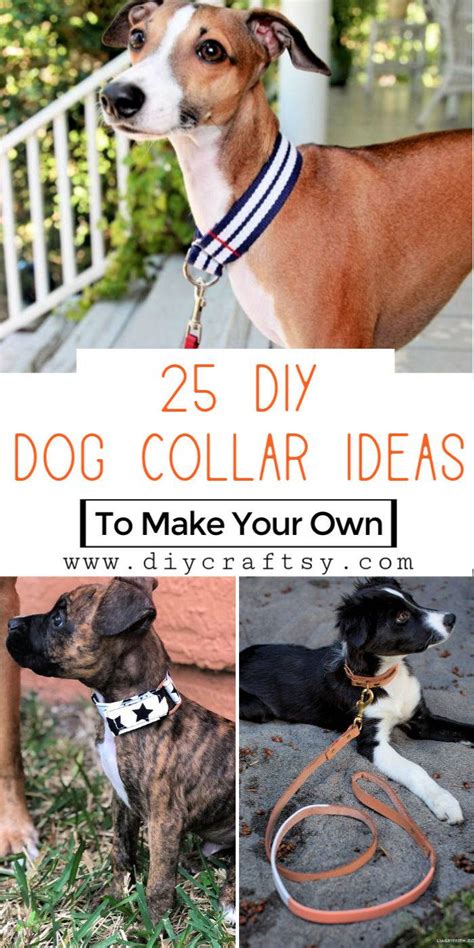 25 Personalized Diy Dog Collar Ideas To Make Your Own 2022