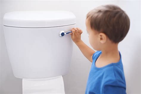 Toilet Flush Valve Types And Sizes