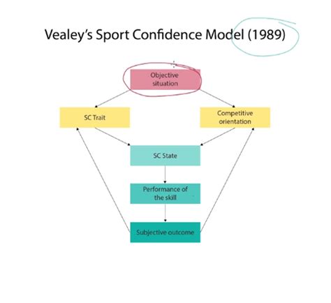 Sports Psychology Sports Confidence And Self Efficacy Flashcards